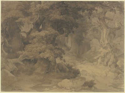  av Carl Friedrich Lessing