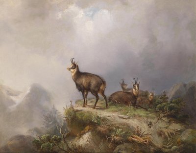  av Carl Friedrich Ockert