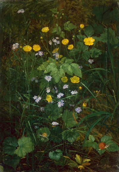 Smørblomster og forglemmigei på et skoggulv av Carl Henrik Koch Moller