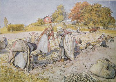 Digging Potatoes av Carl Larsson