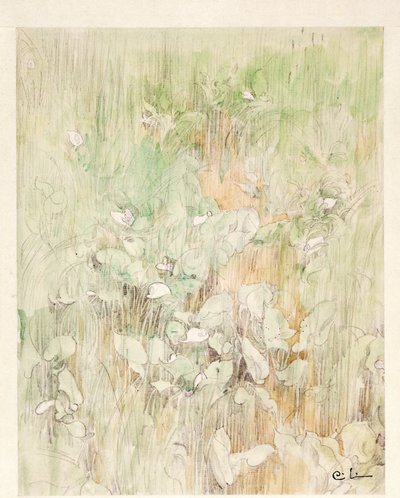 Kallor av Carl Larsson