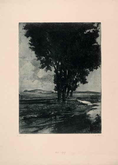 svarte poppel av Carl Maria Thuma