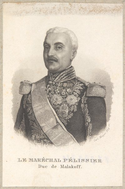  av Carl Mayer
