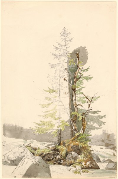  av Carl Morgenstern