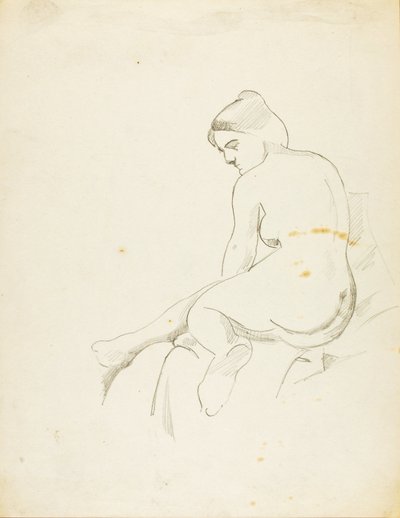  av Carl Newman