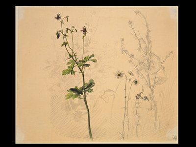  av Carl Philipp Fohr