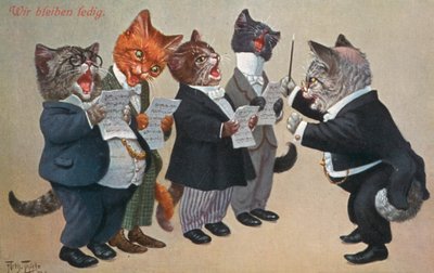 Humoristisk kattepostkort (farge litho) av Carl Robert Arthur Thiele