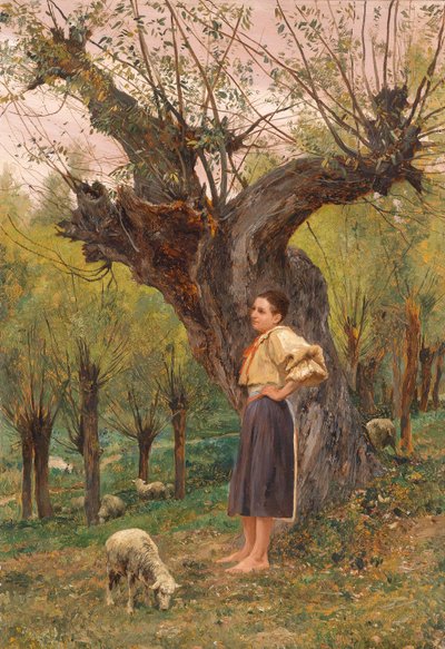  av Carl Rudolf Huber