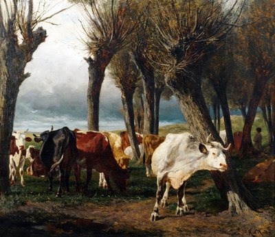  av Carl Rudolf Huber