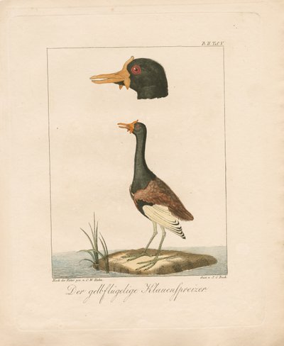  av Carl Wilhelm Hahn