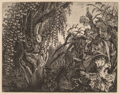 En kratt; et knudret piletre til venstre, et kratt av vegetasjon til høyre av Carl Wilhelm Kolbe