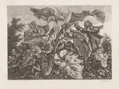 Plantestudie med burdock av Carl Wilhelm Kolbe