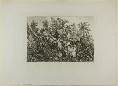 Sumpplanter av Carl Wilhelm Kolbe, the elder