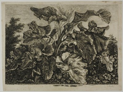 Vegetabilsk ark av Carl Wilhelm Kolbe, the elder