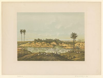 Utsikt over et landskap nær Semarang Nordkysten ved Semarang (tittel på objekt) av Carl Wilhelm Mieling (possibly)
