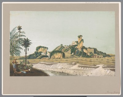 Kalkstein på Java av Carl Wilhelm Mieling (possibly)