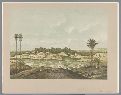 Nordkysten nær Semarang av Carl Wilhelm Mieling (possibly)