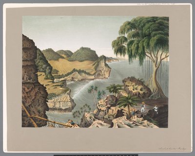Sørkysten av Java, øst for Rankop av Carl Wilhelm Mieling (possibly)