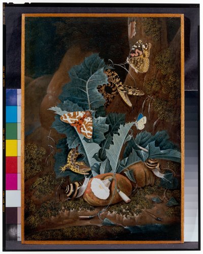 Skoggulvstilleben med snegler, slanger, øgler og sommerfugler av Carl Wilhelm de Hamilton