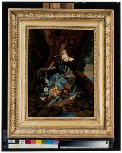 Skogbunnsstilleben med snegler, slanger, øgler og sommerfugler av Carl Wilhelm de Hamilton
