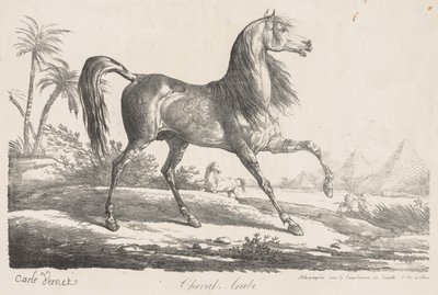 Suite av hester: Arabisk hest av Carle Vernet