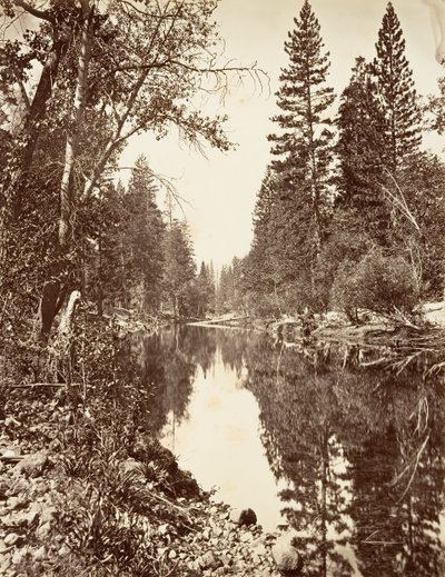 Merced River, Yosemite, ca. 1872, trykt ca. 1876. av Carleton E. Watkins.