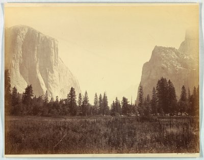 Oppover dalen fra foten av Mariposa Trail, Yosemite, no. 9 av Carleton E. Watkins