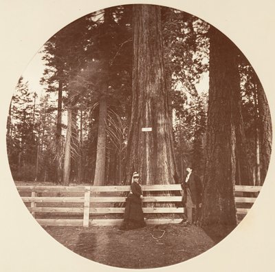 Auld Reckie. C. Grove, ca. 1878. av Carleton Emmons Watkins