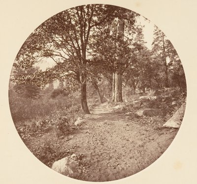 I Yosemite Valley, ca. 1878. av Carleton Emmons Watkins