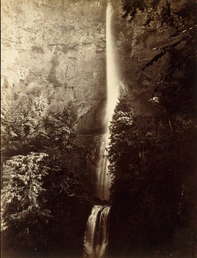 Multnomah Falls Cascade, Columbia River, 1867. av Carleton Emmons Watkins