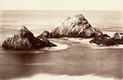 Seal Rocks, 1868-69, trykt ca. 1876. av Carleton Emmons Watkins