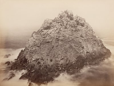 Sugar Loaf Islands, Farallons, 1868-69. av Carleton Emmons Watkins