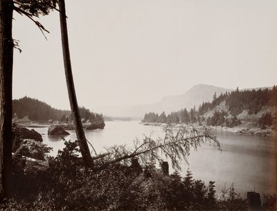 Utsikt over Columbia, Cascades, 1867. av Carleton Emmons Watkins