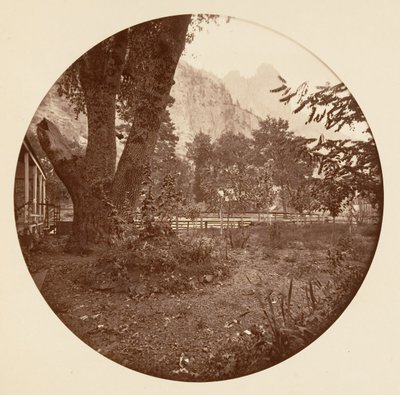 [Yosemite nasjonalpark, California], ca. 1878. av Carleton Emmons Watkins