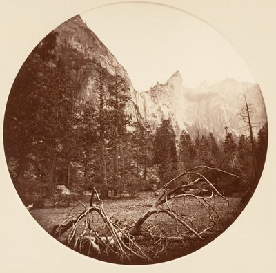 [Yosemite nasjonalpark, California], ca. 1878. av Carleton Emmons Watkins