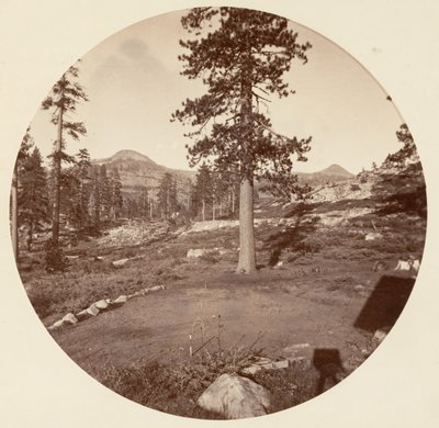 [Yosemite nasjonalpark, California], ca. 1878. av Carleton Emmons Watkins