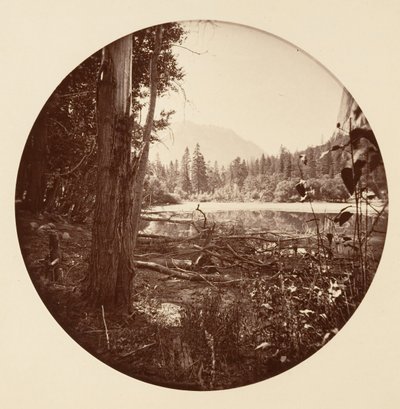 [Yosemite nasjonalpark, California], ca. 1878. av Carleton Emmons Watkins
