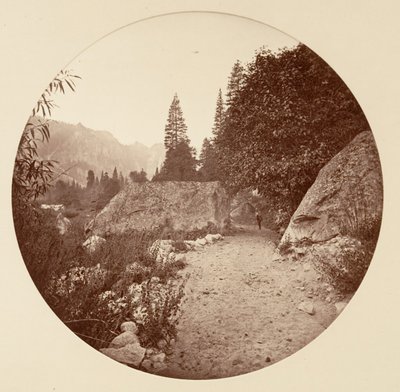 [Yosemite nasjonalpark, California], ca. 1878. av Carleton Emmons Watkins