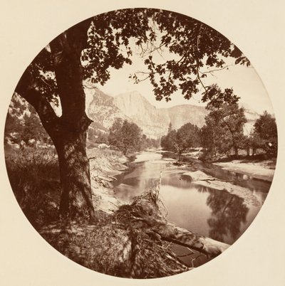 [Yosemite nasjonalpark, California], ca. 1878. av Carleton Emmons Watkins
