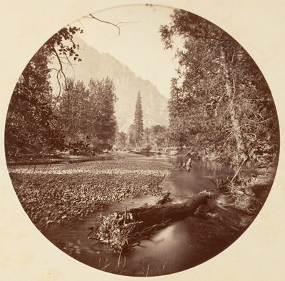 [Yosemite nasjonalpark, California], ca. 1878. av Carleton Emmons Watkins