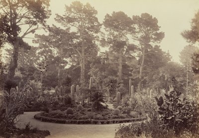  av Carleton Watkins