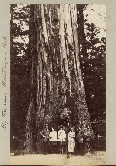  av Carleton Watkins