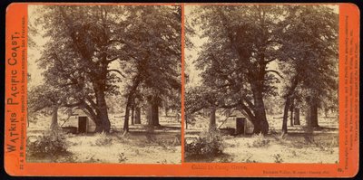Hytte i Camp Grove, Yosemite Valley, Mariposa County, Ca av Carleton Watkins