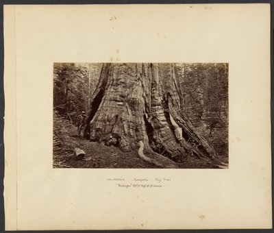  av Carleton Watkins