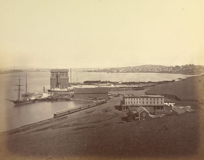  av Carleton Watkins