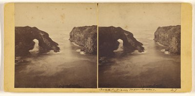  av Carleton Watkins