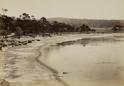  av Carleton Watkins