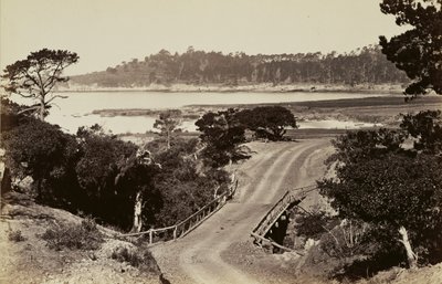  av Carleton Watkins