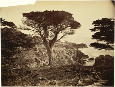  av Carleton Watkins