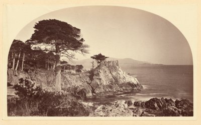  av Carleton Watkins